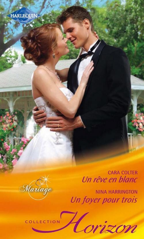 Cover of the book Un rêve en blanc - Un foyer pour trois by Cara Colter, Nina Harrington, Harlequin