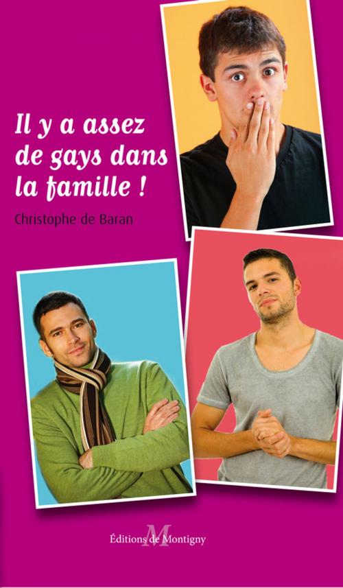 Cover of the book Il y a assez de gays dans la famille ! (comédie gay) by Christophe de Baran, Éditions Textes Gais