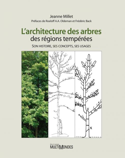 Cover of the book L’architecture des arbres des régions tempérées by Jeanne Millet, Éditions MultiMondes