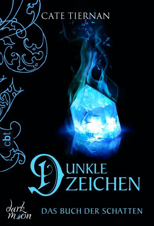 Cover of the book Das Buch der Schatten - Dunkle Zeichen by Cate Tiernan, cbt