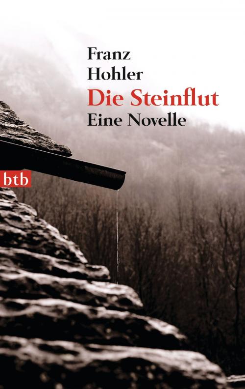Cover of the book Die Steinflut by Franz Hohler, Luchterhand Literaturverlag