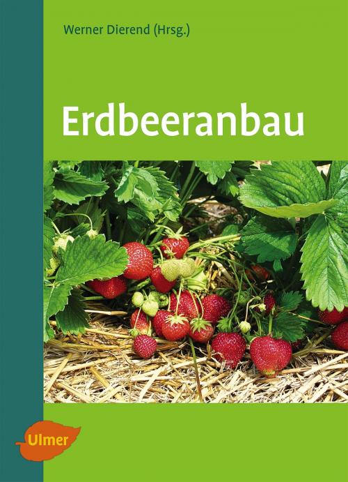 Cover of the book Erdbeeranbau by Prof. Dr. Werner Dierend, Ralf Jung, Tilman Keller, Dr. Erika Krüger-Steden, Ludger Linnemannstöns, Verlag Eugen Ulmer