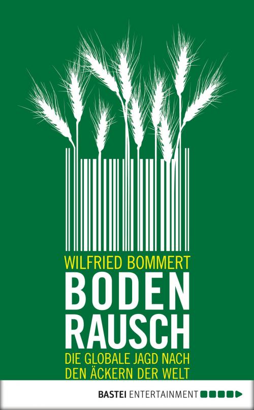 Cover of the book Bodenrausch by Wilfried Bommert, Bastei Entertainment