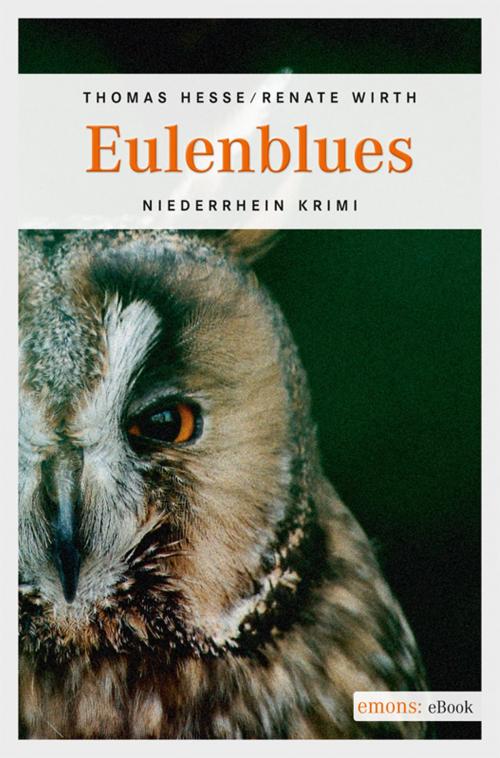 Cover of the book Eulenblues by Thomas Hesse, Renate Wirth, Emons Verlag