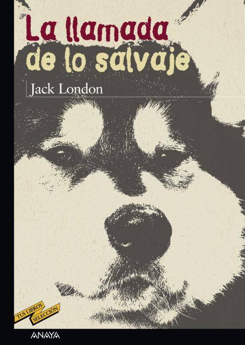 Cover of the book La llamada de lo salvaje by Jack London, ANAYA INFANTIL Y JUVENIL