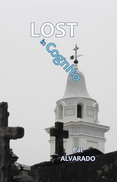 Cover of the book Lost in Cognito by Pat Alvarado, Piggy Press Books
