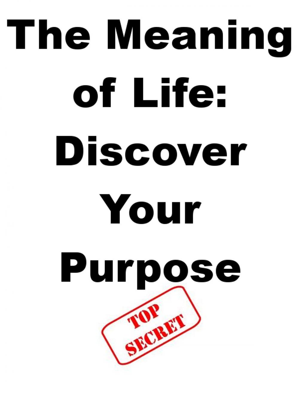 Big bigCover of The Meaning of Life: Discover Your Purpose