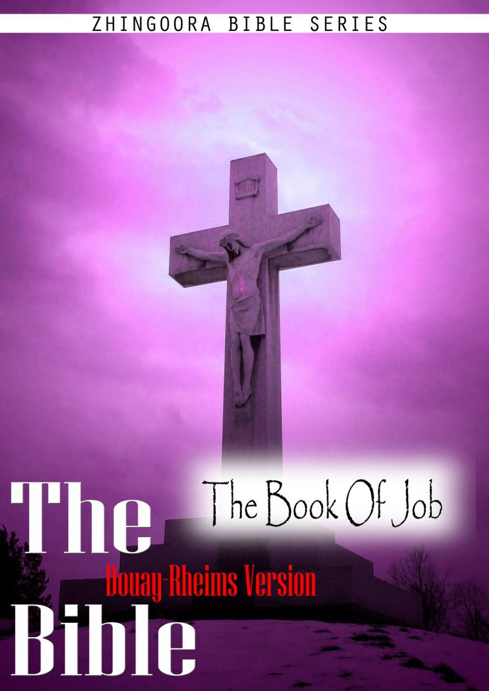 Big bigCover of The Holy Bible Douay-Rheims Version,The Book Of Job