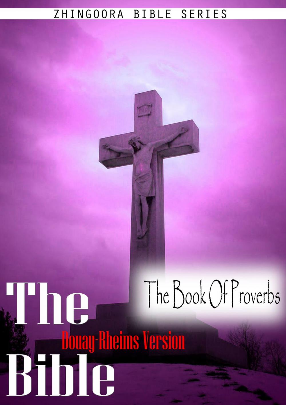 Big bigCover of The Holy Bible Douay-Rheims Version,The Book Of Proverbs