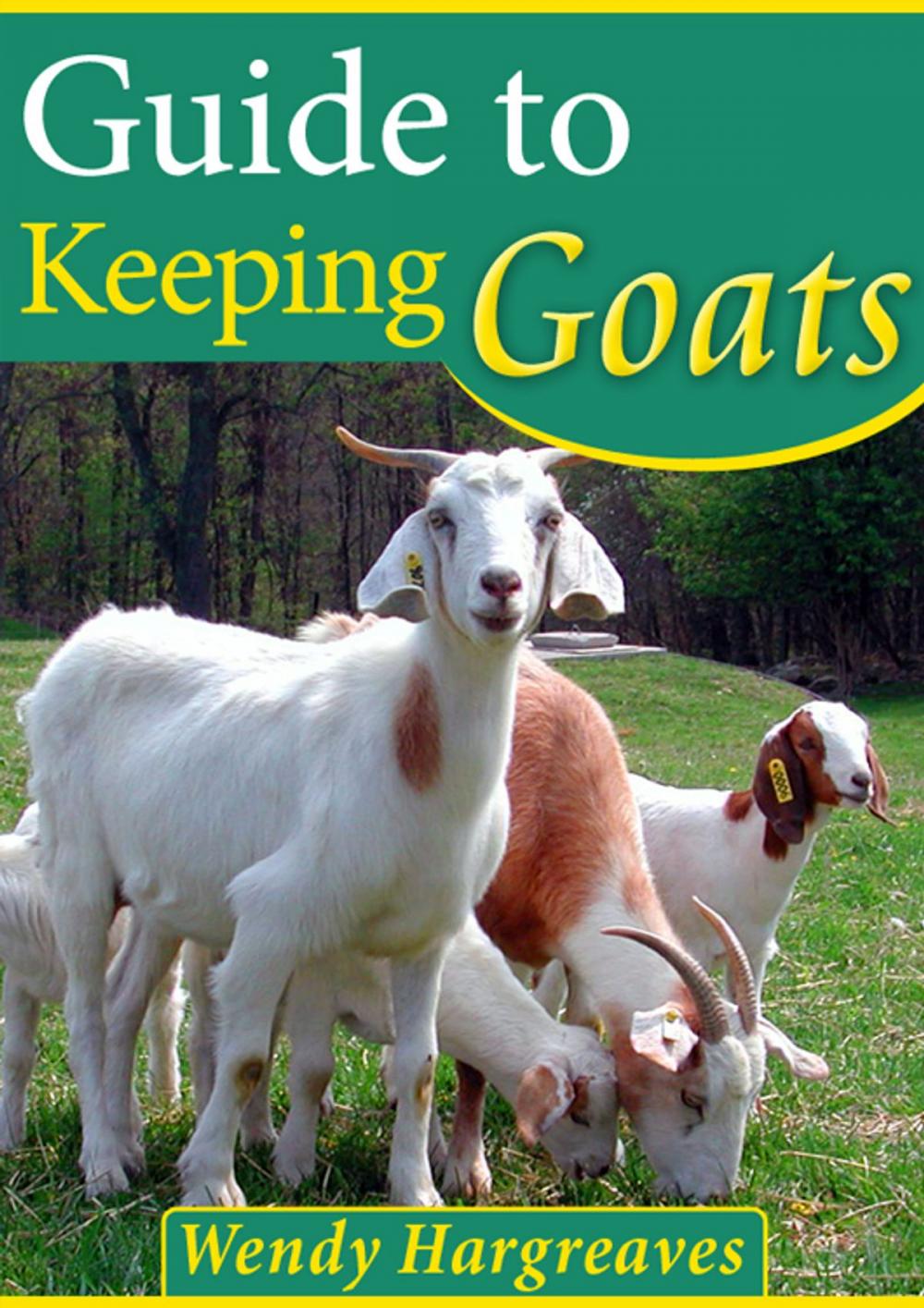 Big bigCover of Guide To Keeping Goats