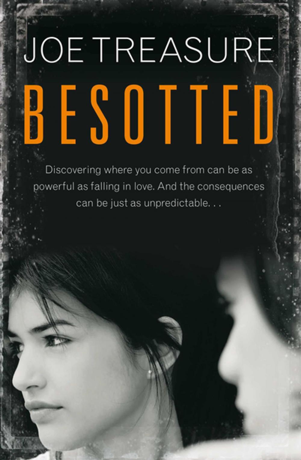 Big bigCover of Besotted