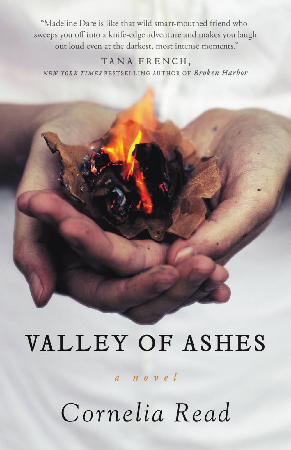 Big bigCover of Valley of Ashes