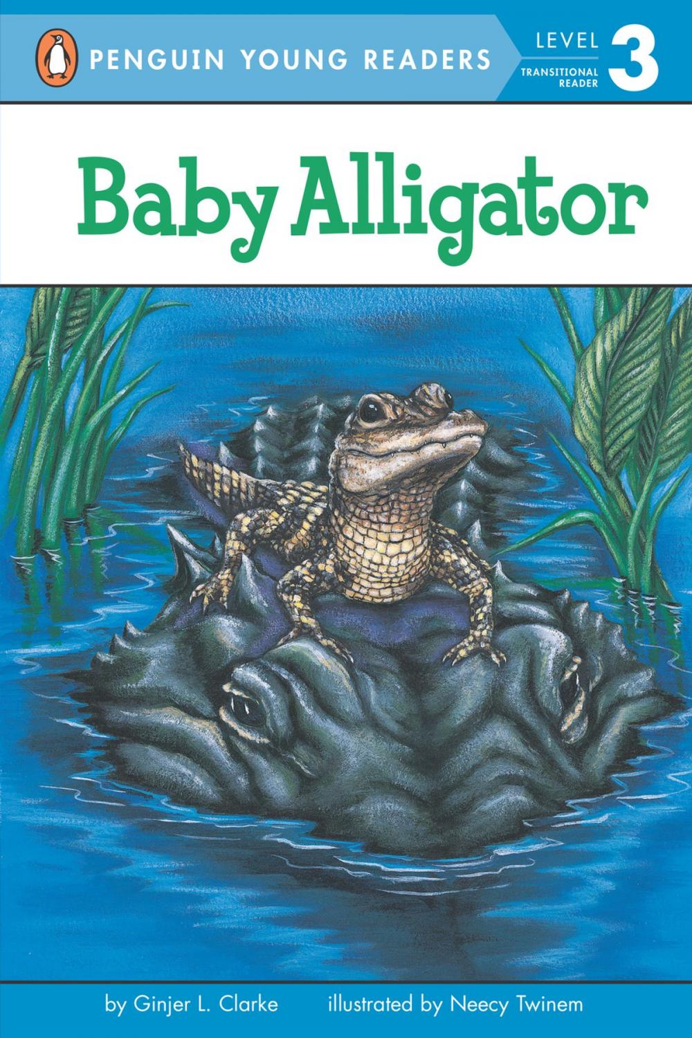Big bigCover of Baby Alligator