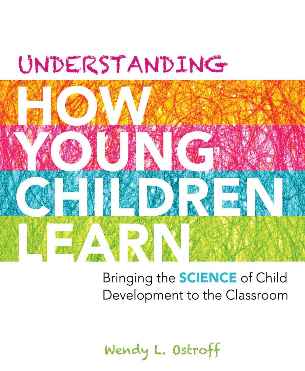 Big bigCover of Understanding How Young Children Learn