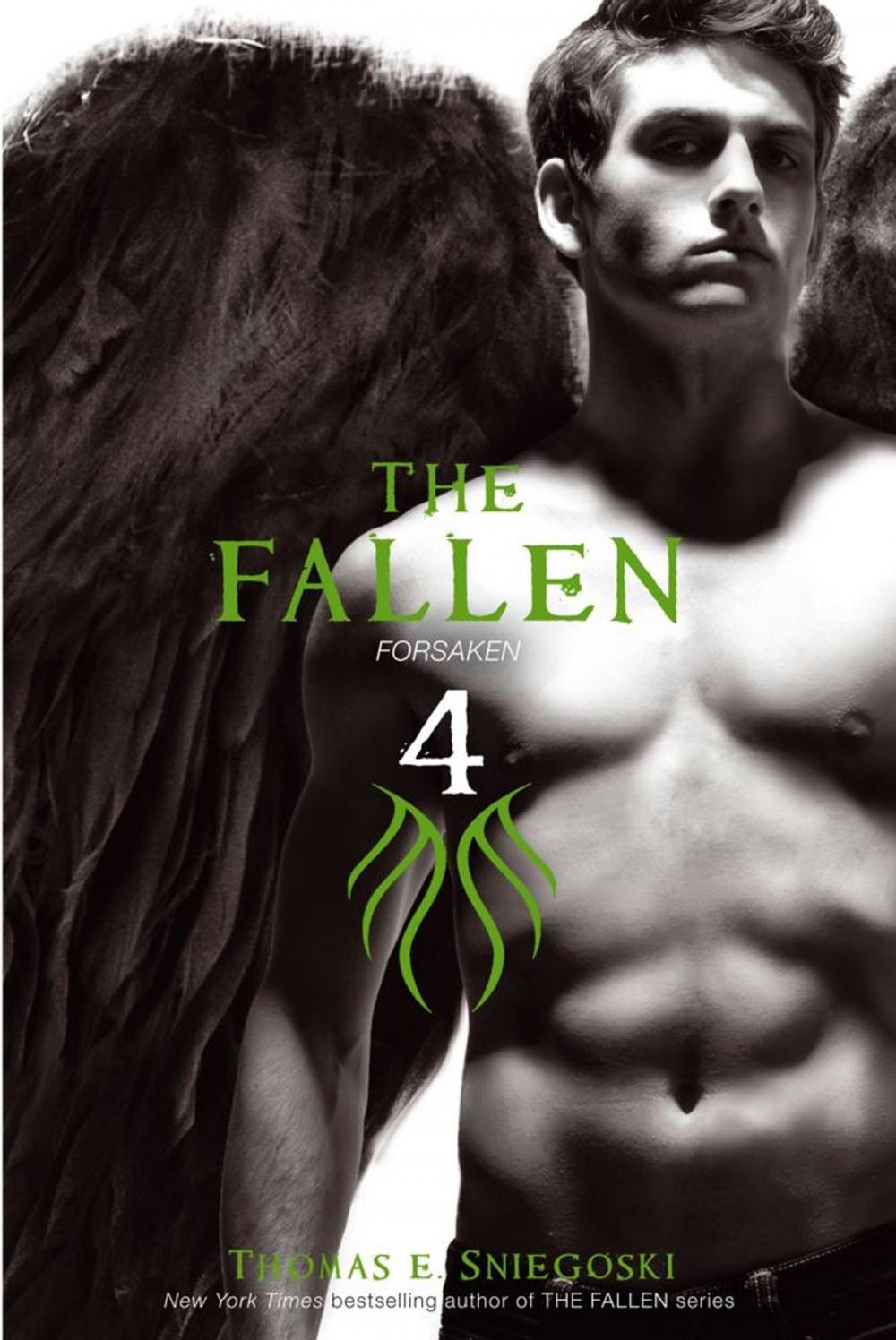 Big bigCover of The Fallen 4