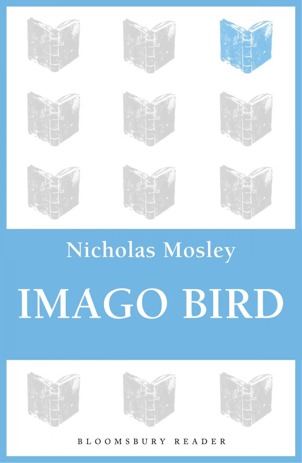 Big bigCover of Imago Bird