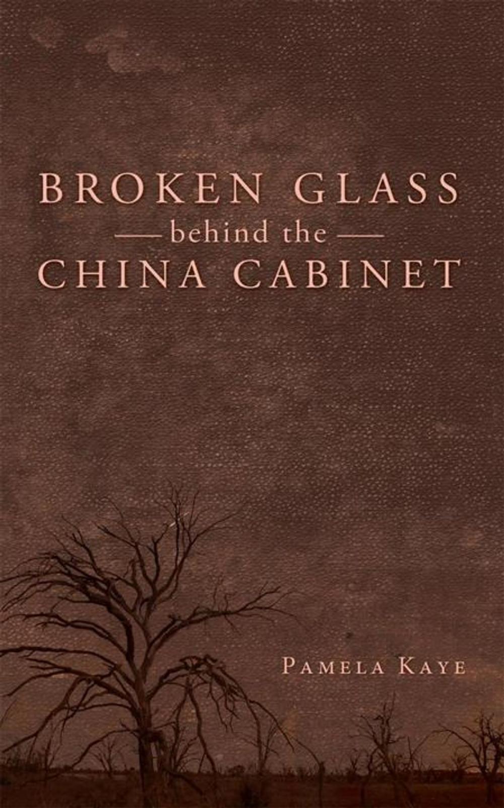 Big bigCover of Broken Glass Behind the China Cabinet