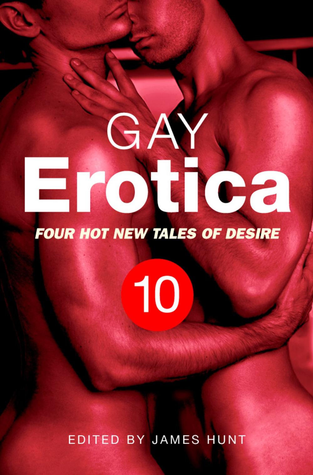 Big bigCover of Gay Erotica, Volume 10