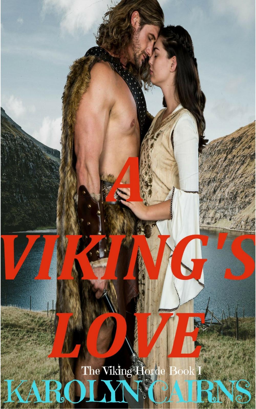 Big bigCover of A Viking's Love