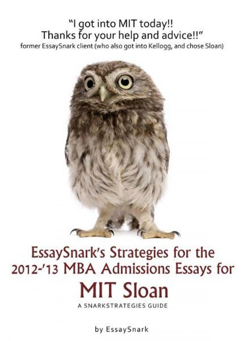 Big bigCover of EssaySnark's Strategies for the 2012-'13 MBA Admissions Essays for MIT Sloan