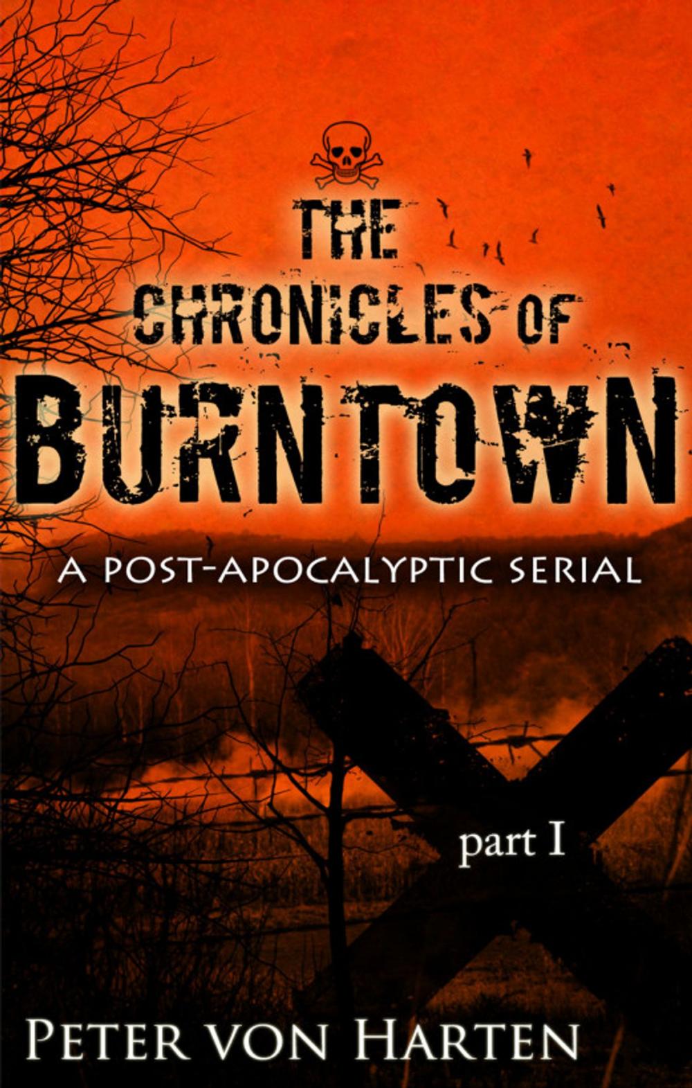 Big bigCover of The Chronicles of Burntown, Pt. 1