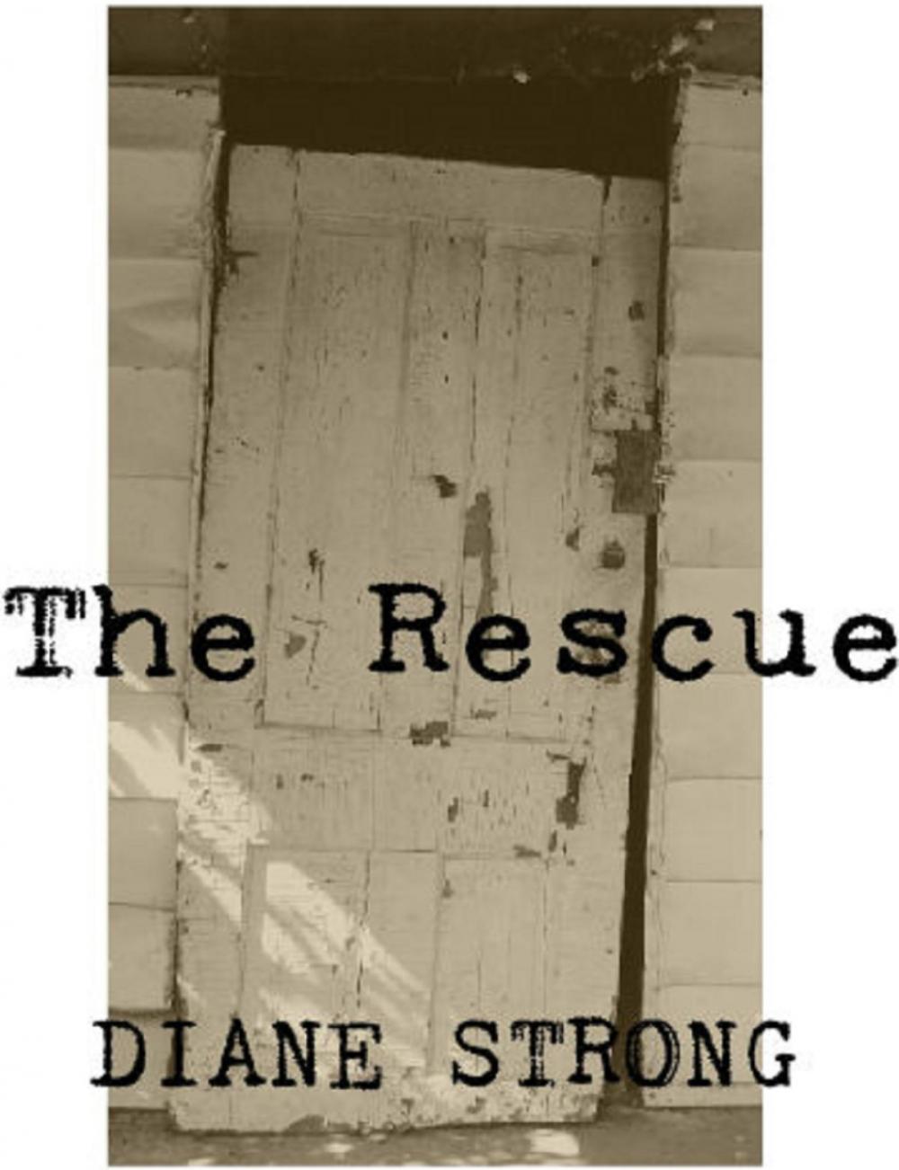 Big bigCover of The Rescue (The Running Suspense Series #4)