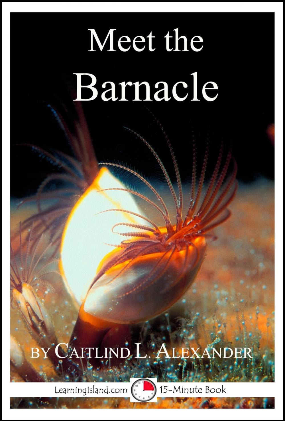 Big bigCover of Meet the Barnacle: A 15-Minute Book for Early Readers