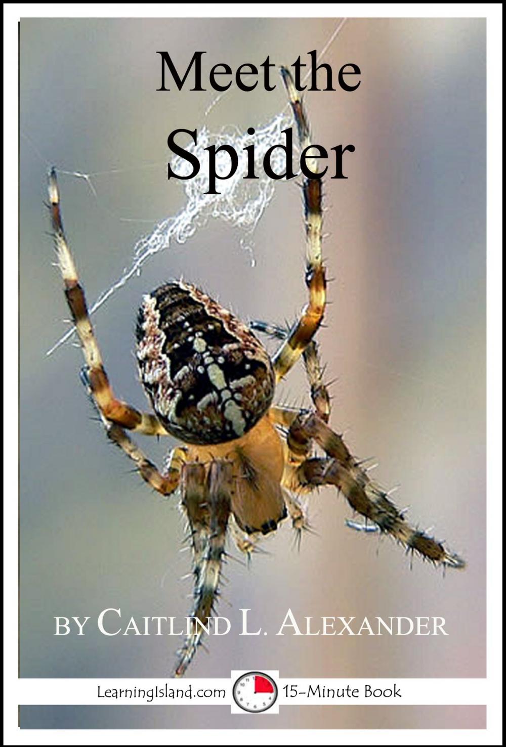 Big bigCover of Meet the Spider: A 15-Minute Book for Early Readers