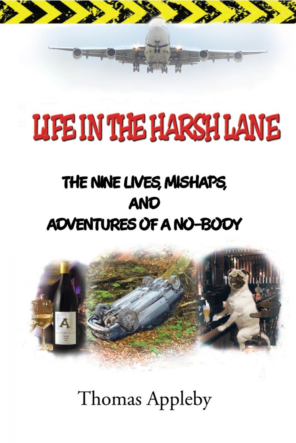 Big bigCover of Life in the Harsh Lane