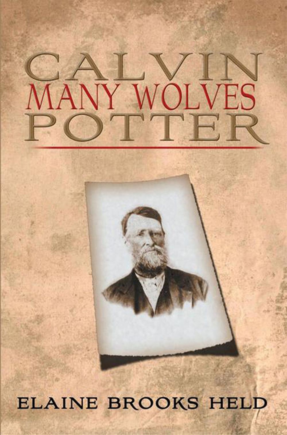 Big bigCover of Calvin Many Wolves Potter