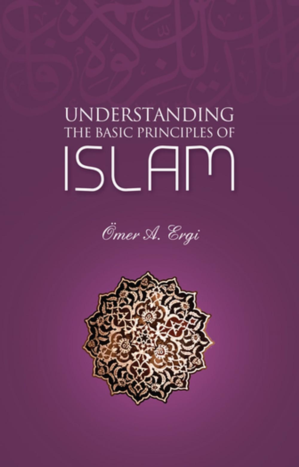 Big bigCover of Understanding The Basic Principles of Islam