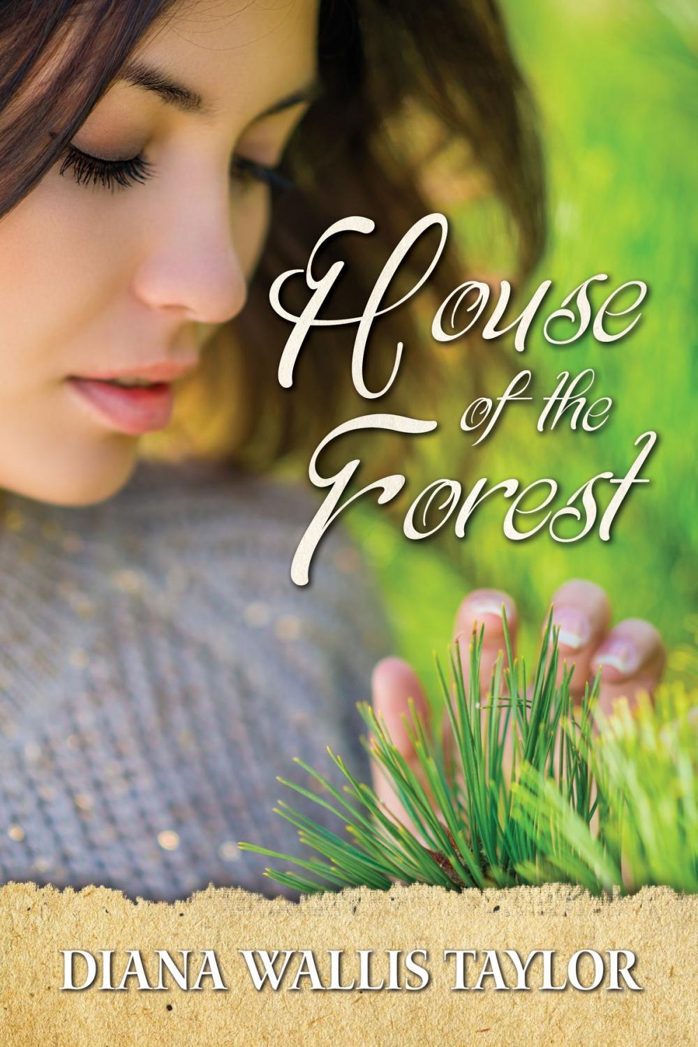 Big bigCover of House of the Forest