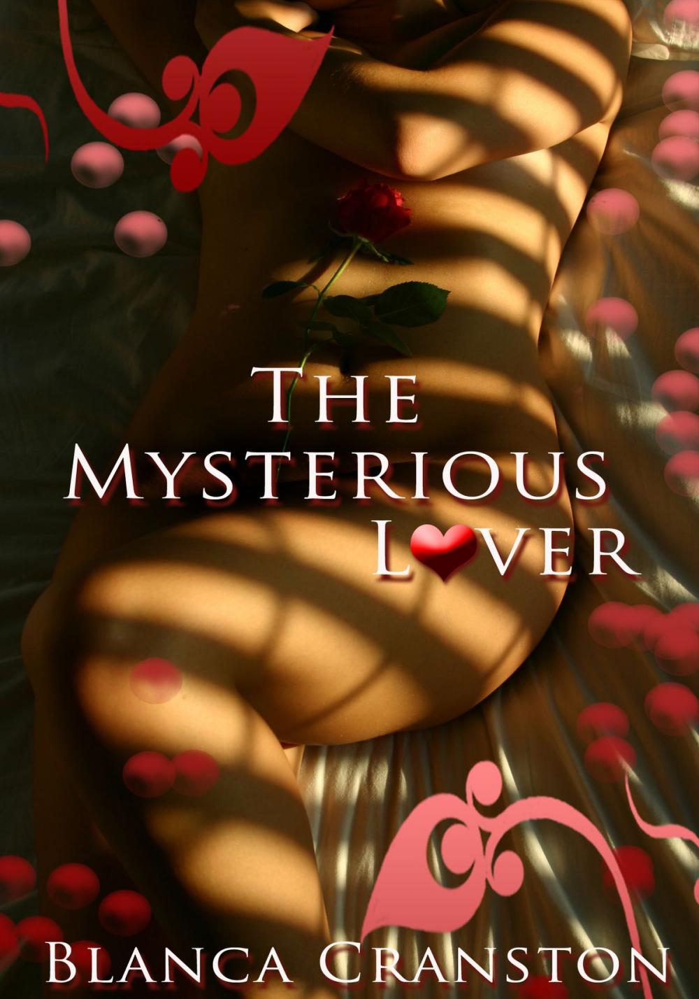 Big bigCover of The Mysterious Lover