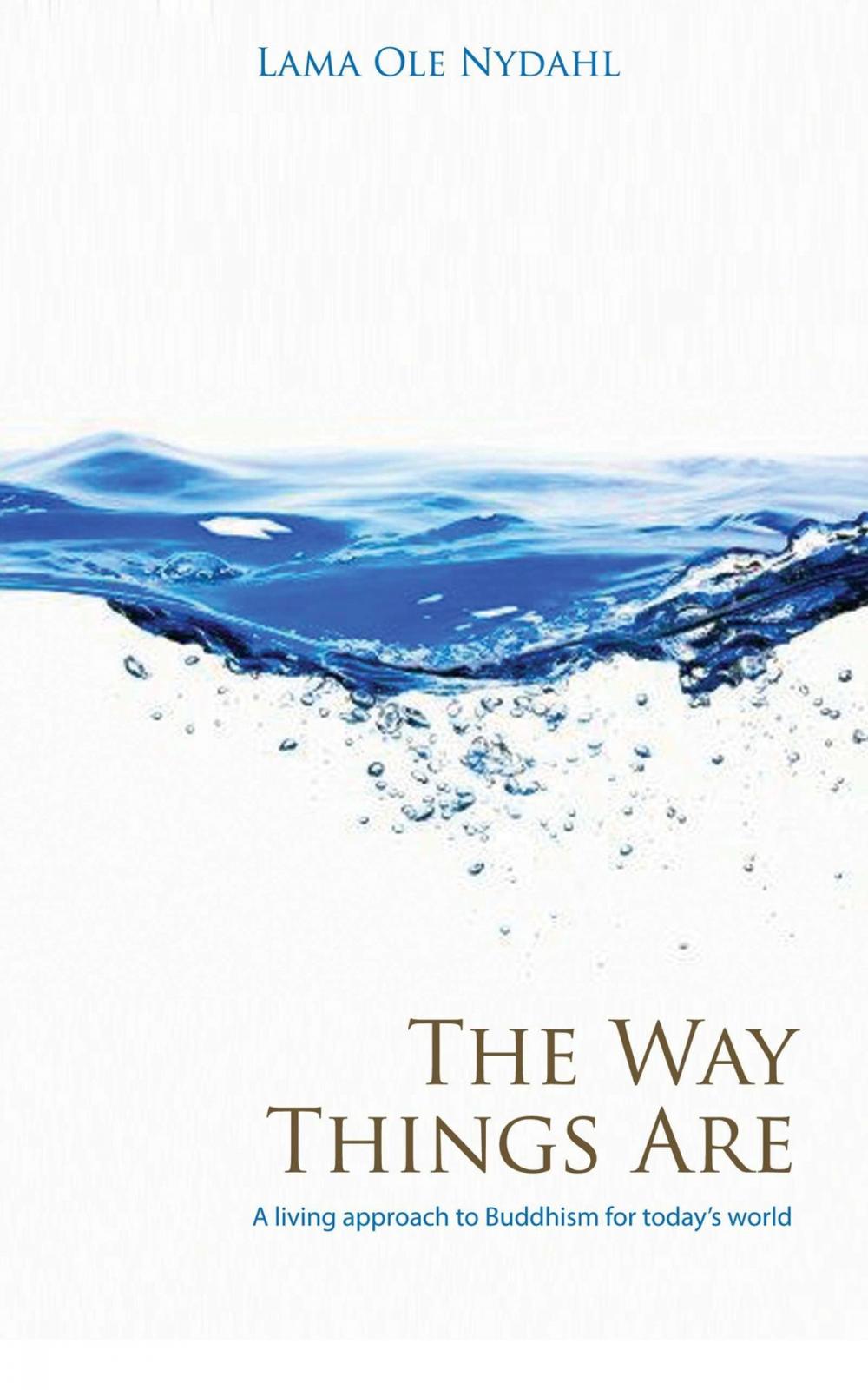 Big bigCover of The Way Things Are: A Living Approach to Buddhism