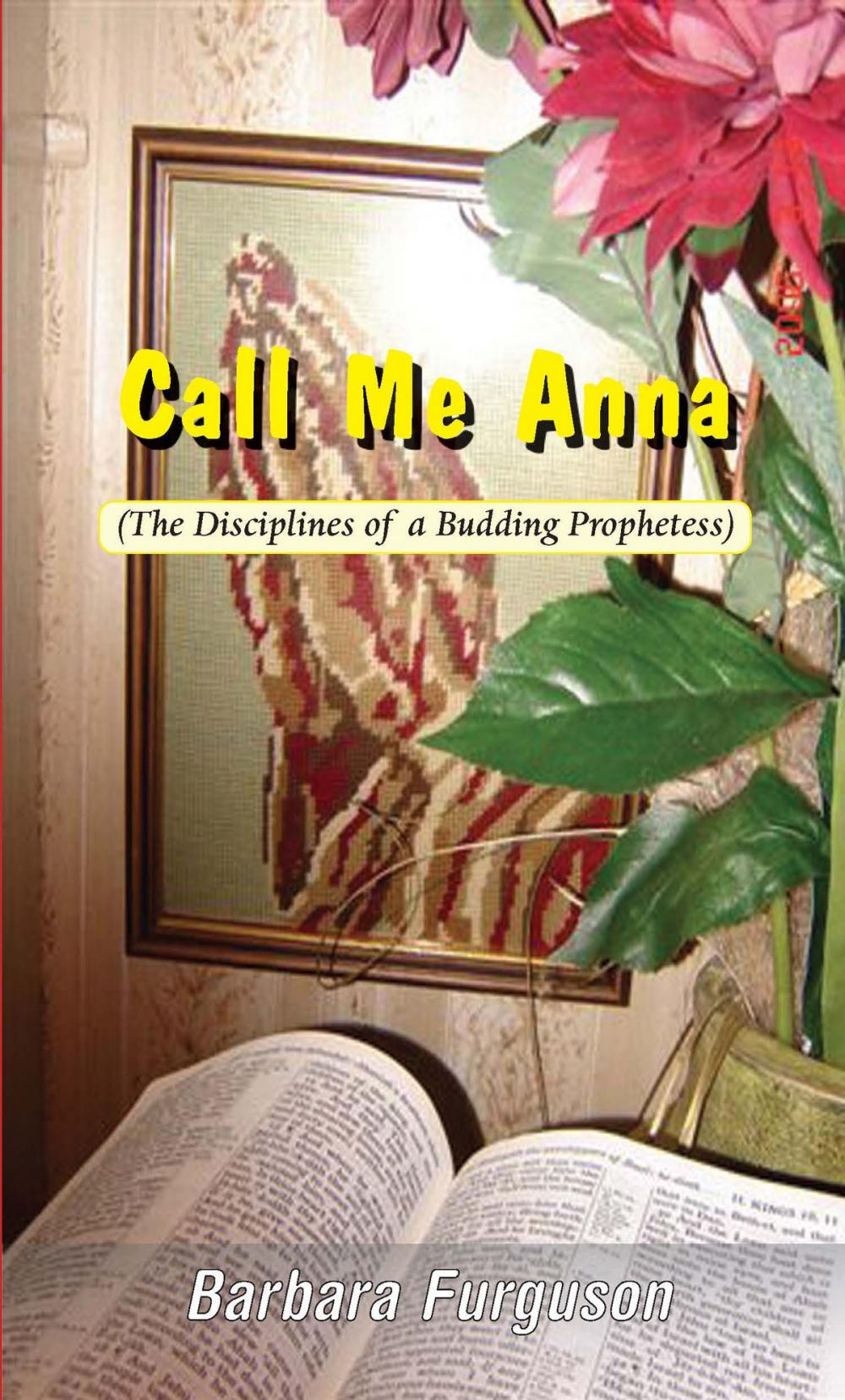 Big bigCover of Call Me Anna (The Disciplines of a Budding Prophetess)