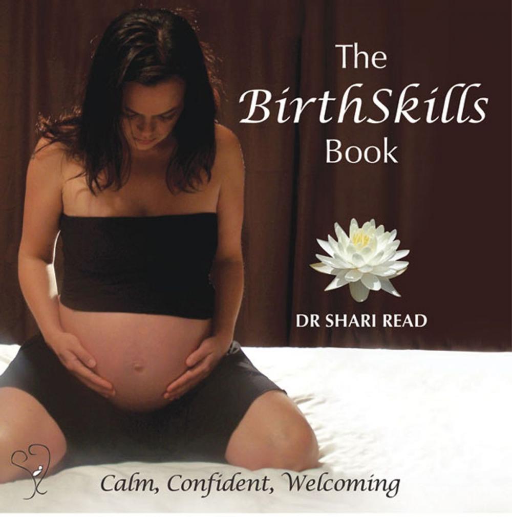 Big bigCover of The BirthSkills Book