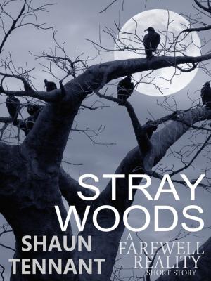 Cover of the book Stray Woods by Frederick Zaccarini