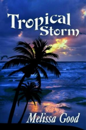 Cover of the book Tropical Storm by J.S. Frankel