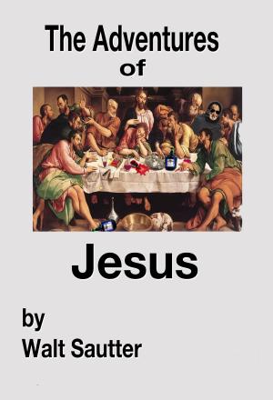Cover of the book The Adventures of Jesus by S. Seme