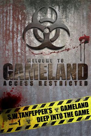 Cover of the book Deep Into the Game: S.W. Tanpepper's GAMELAND by Wudasie Nayzgi, Kenneth James Howe