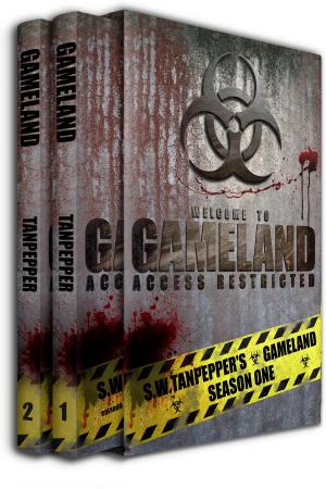 bigCover of the book Deep Into the Game + Failsafe: S.W. Tanpepper's GAMELAND by 