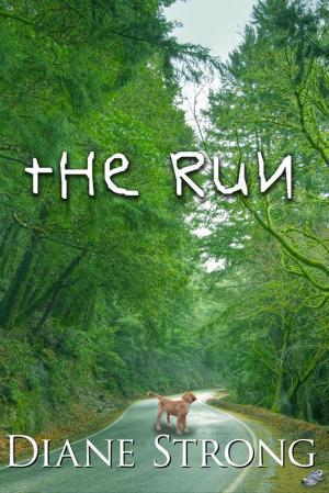 Cover of the book The Run by Gerard Strong