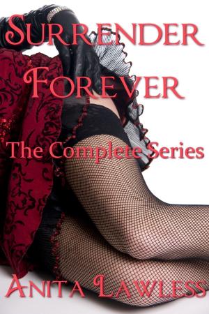 Cover of the book Surrender Forever by Sigal Ehrlich