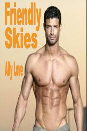 Cover of the book Friendly Skies by Lucianne Day