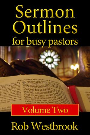 Book cover of Sermon Outlines for Busy Pastors: Volume 2