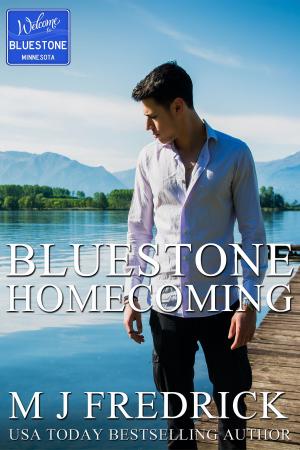 Cover of the book Bluestone Homecoming by Emma Jay