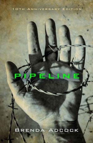 Book cover of Pipeline Tenth Anniversary Edition
