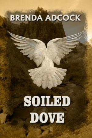 Cover of the book Soiled Dove by Moondancer Drake