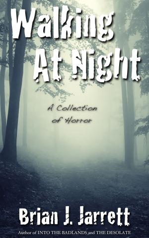 bigCover of the book Walking At Night by 