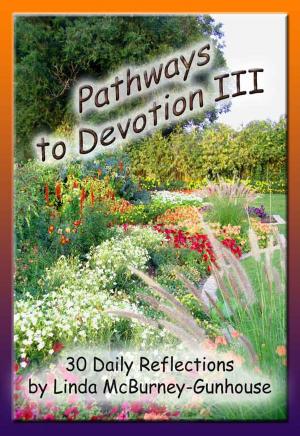Book cover of Pathways to Devotion III